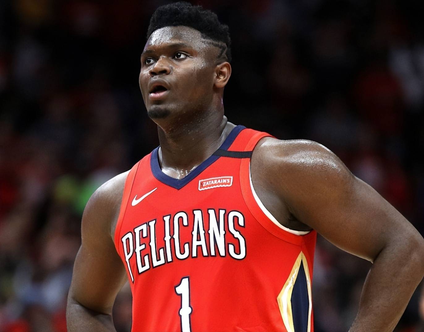 窗口期欧篮联传出新动向，新奥尔良鹈鹕刷新队史纪录，管理层表态——态度坚定，团队化学反应显著(新奥尔良黄蜂为什么要改成鹈鹕)