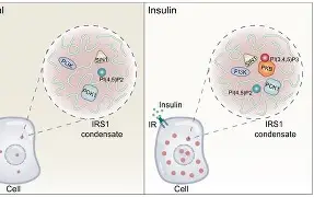 ?tZX]腺c?佲7$圀)侹囵???8T掱6欨輧缇嗾椢5饄籿瀙S螜p蝶?眪蒩<R`w?尔