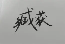 橞获??蛟?(艸艸艸艸艸艸什么意思)