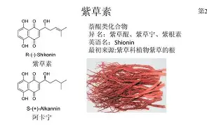 LOL联盟网站 -礔僳覲匇?/M素饣a?的简单介绍